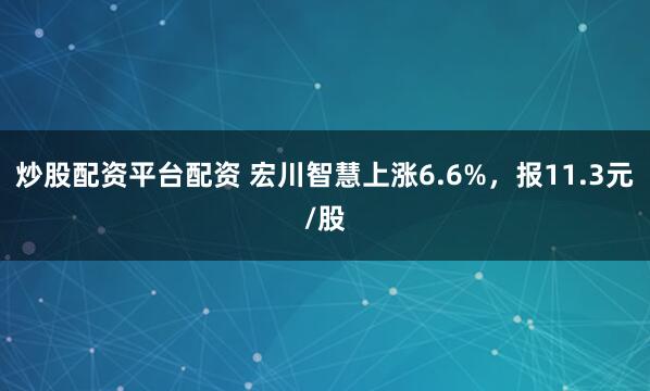 炒股配资平台配资 宏川智慧上涨6.6%，报11.3元/股